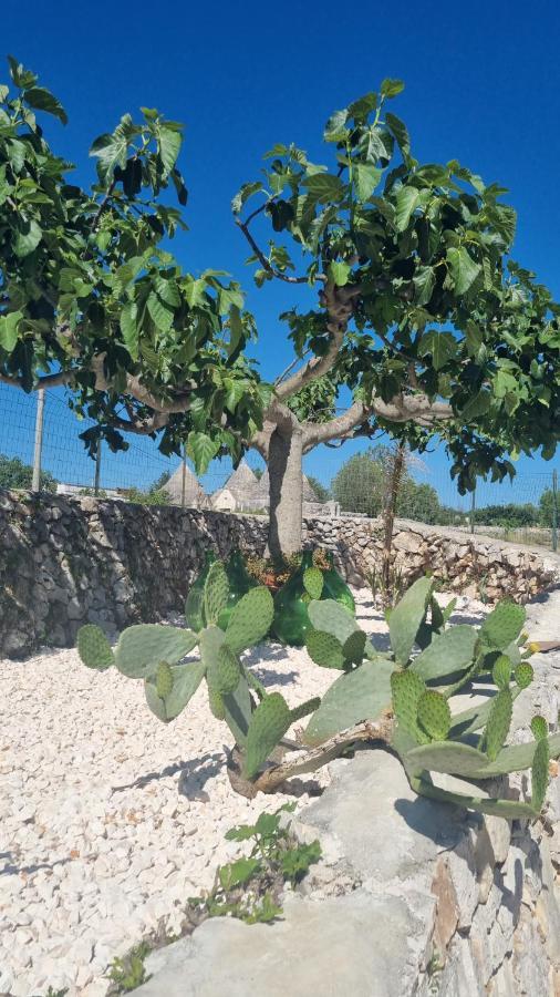 הוילה מרטינה פרנקה I Trulli Dei Nonni Evelin מראה חיצוני תמונה